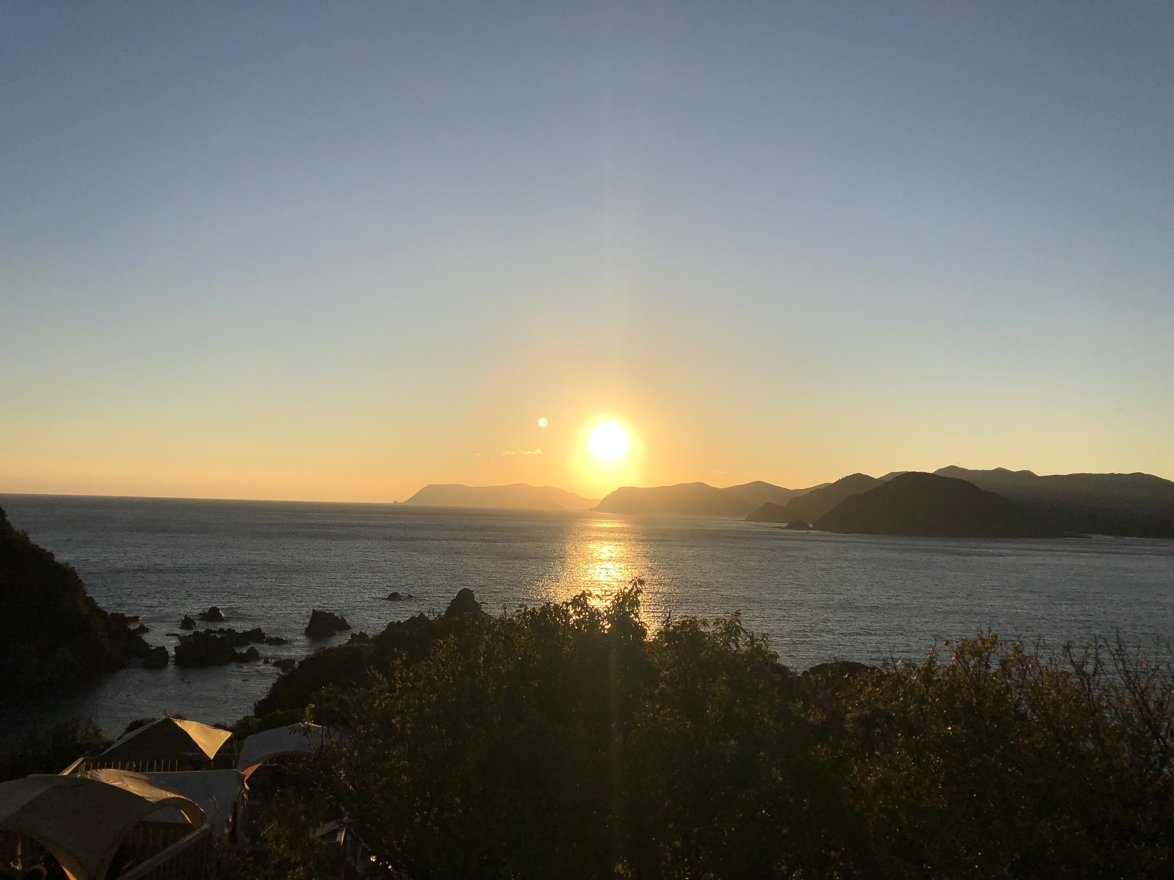 ライブ予定　2026