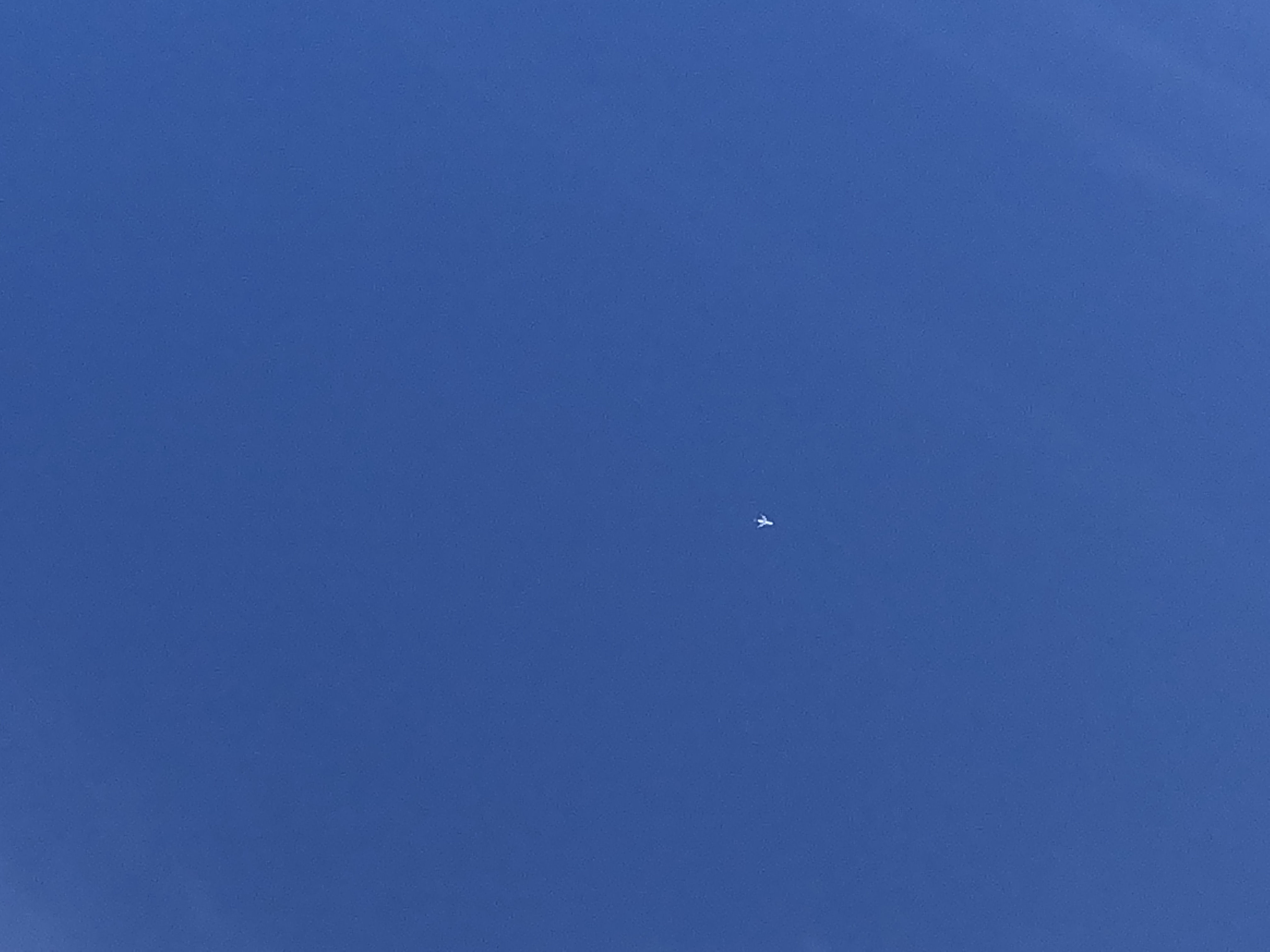 海をわたる