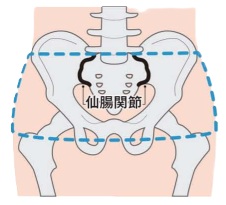 大谷翔平と仙腸関節　そして腰痛や肩こりについても　