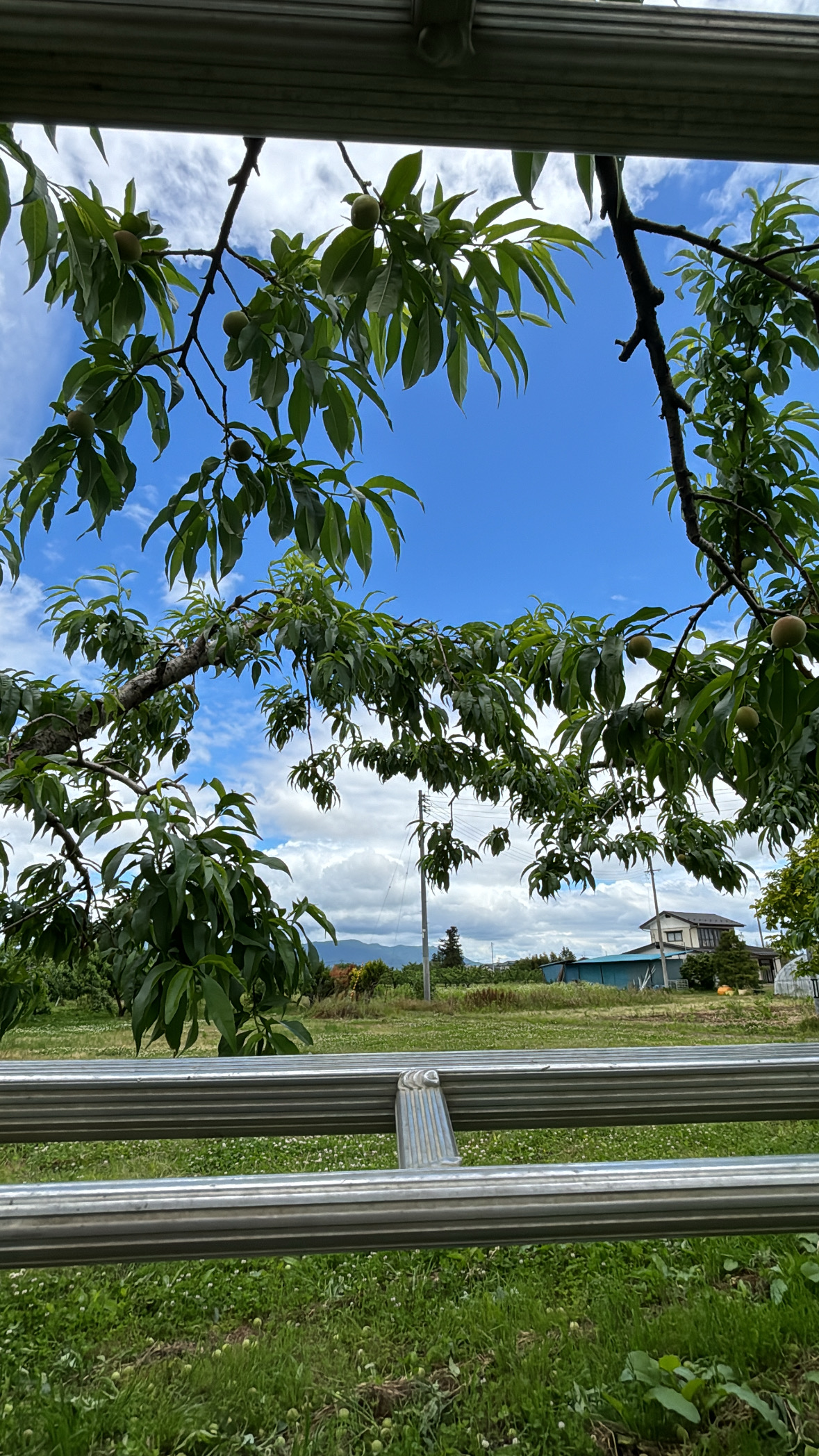今年の農作業ダイジェスト🧑‍🌾