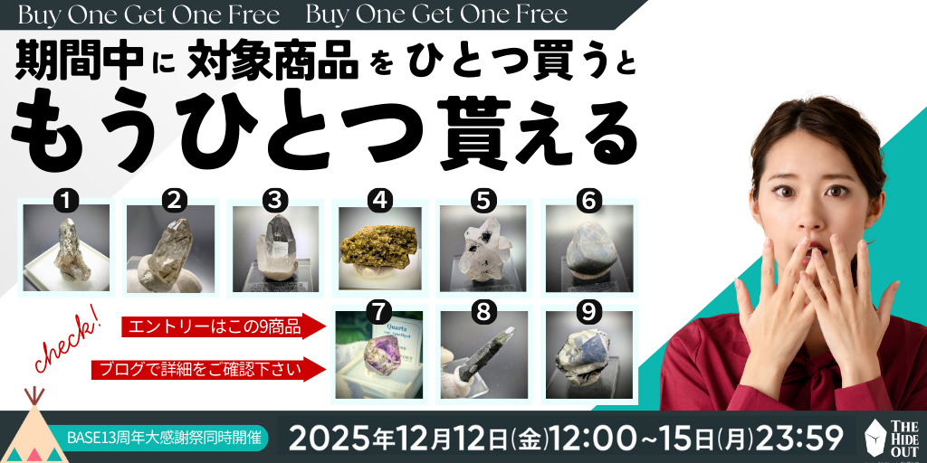 Buy One Get One Free(ひとつ買うともうひとつ貰える)企画発動 12/12より