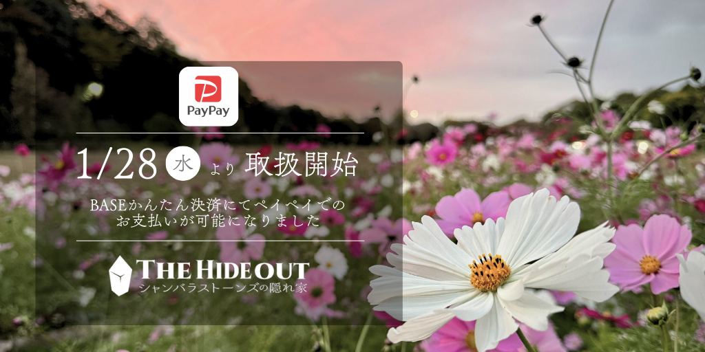 PayPay決済取扱い開始になりました