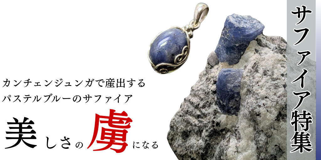 PICK UPページを更新しました