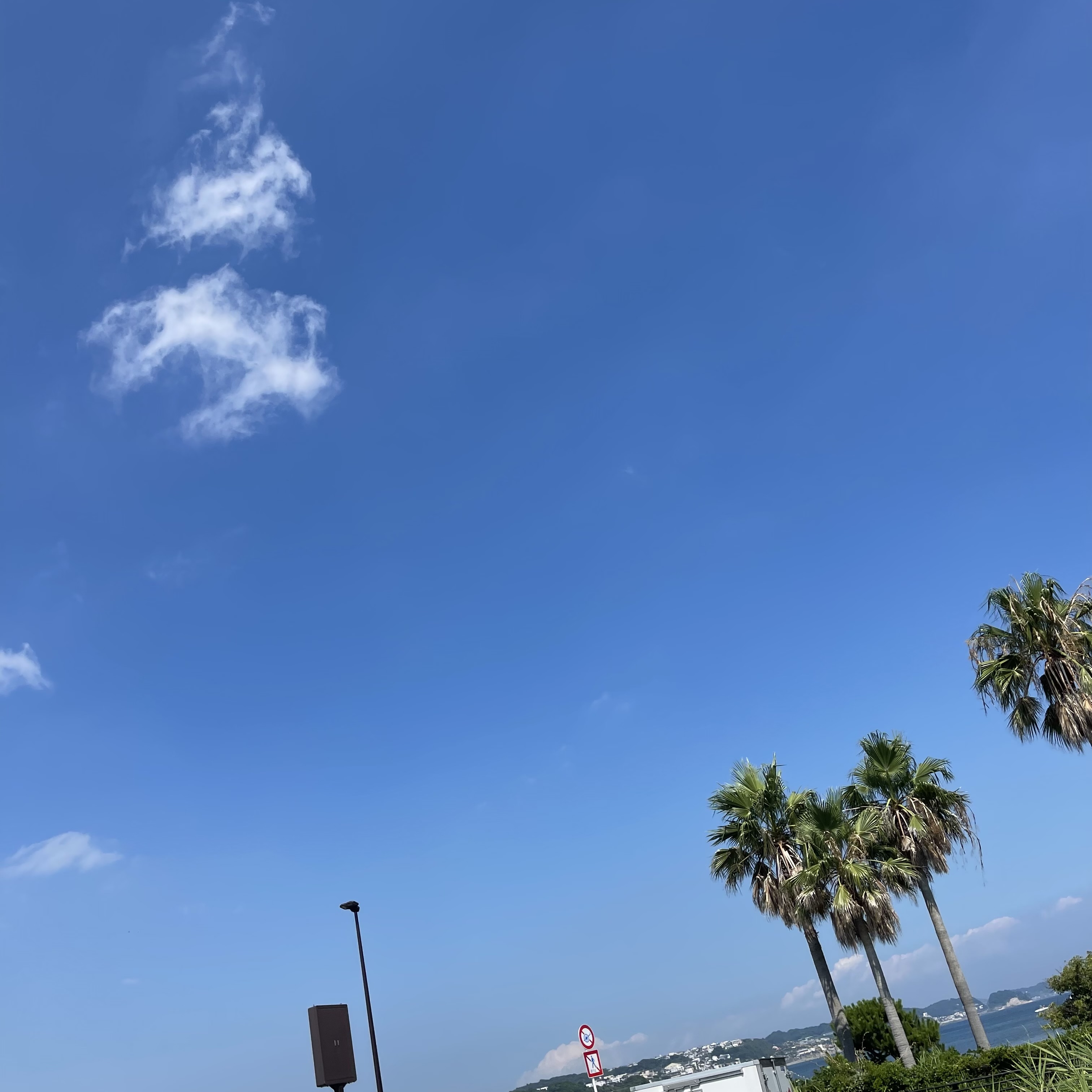 江ノ島に行ってきました