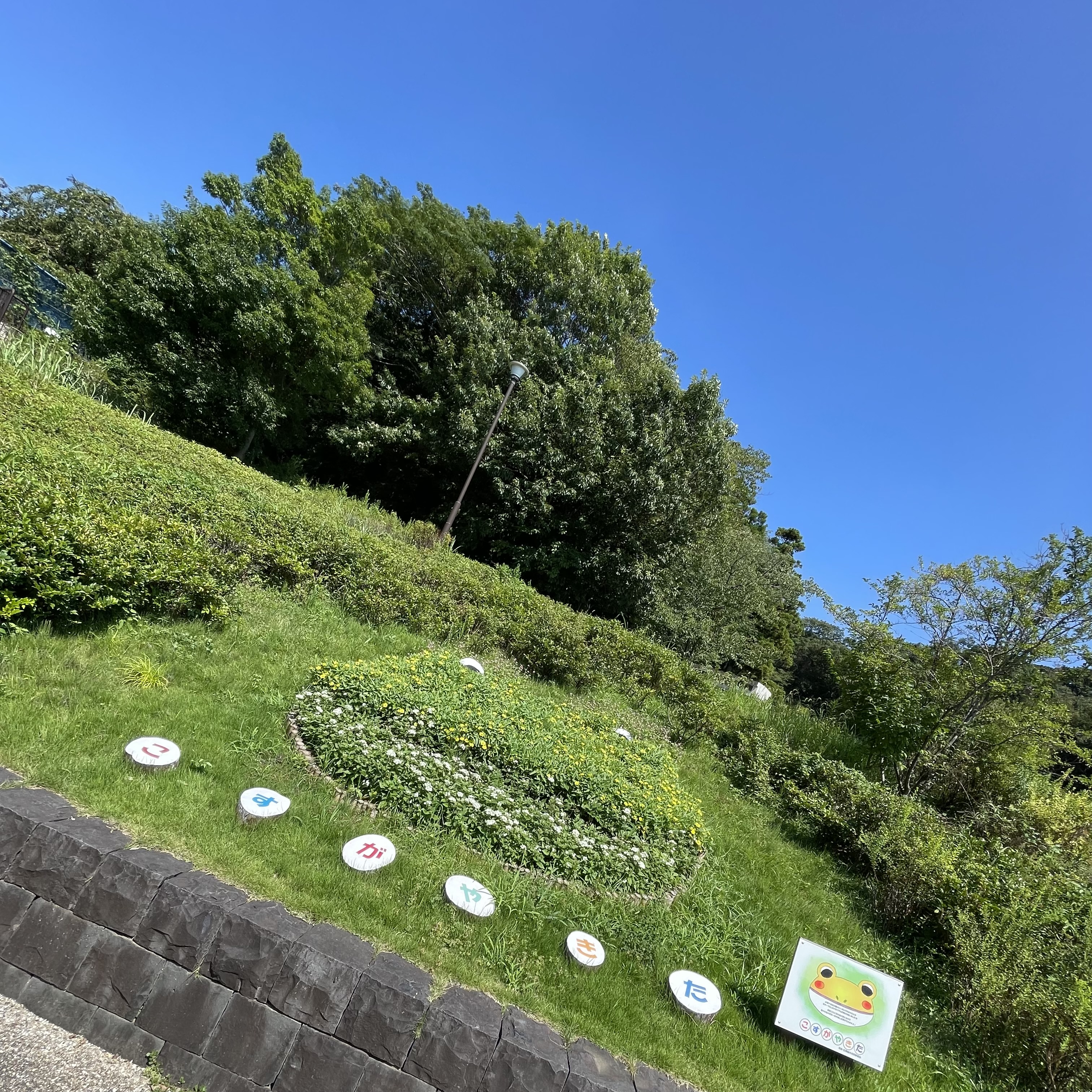 久しぶりの横浜へ！