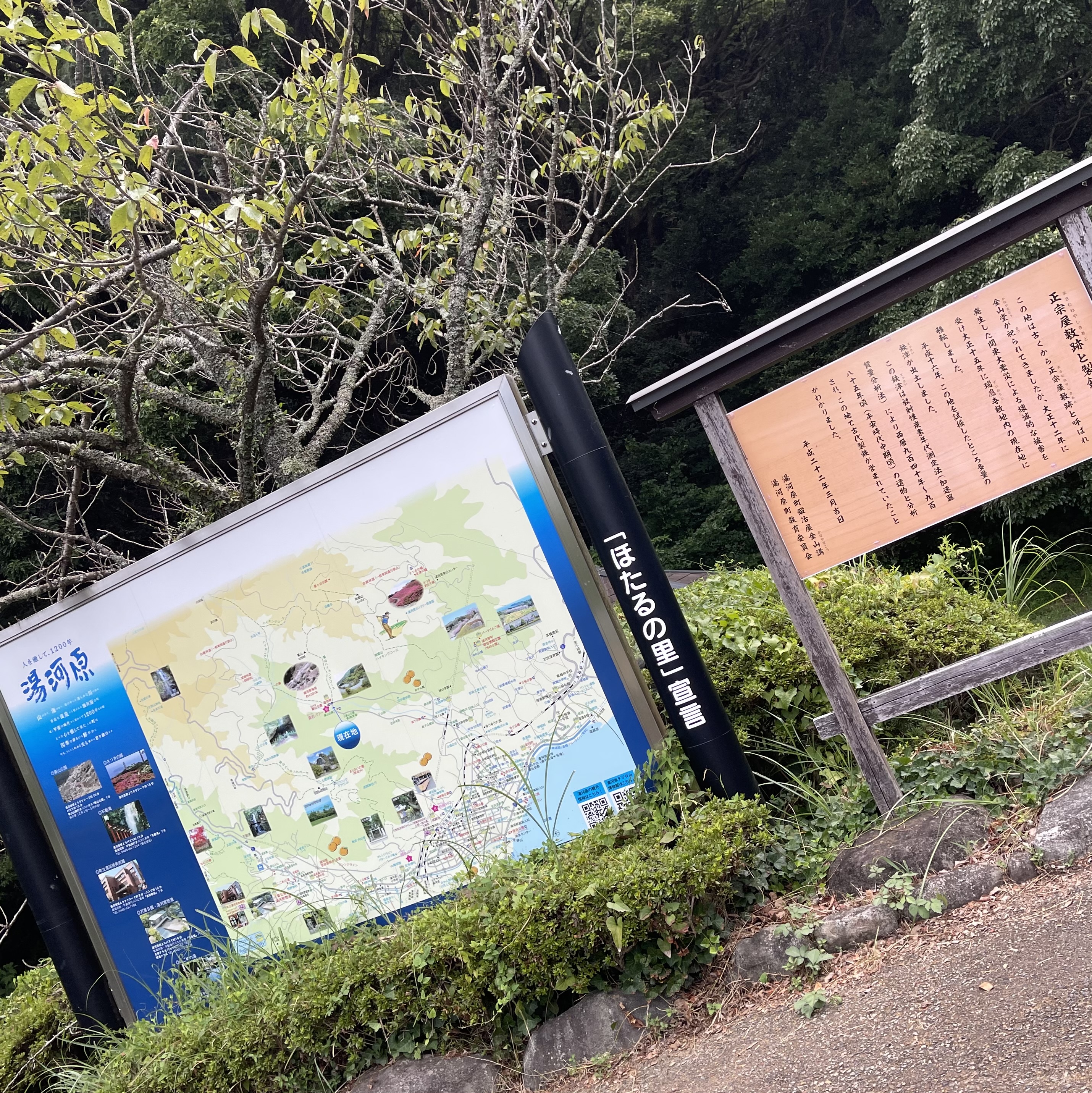 湯河原 幕山公園に行ってきました。