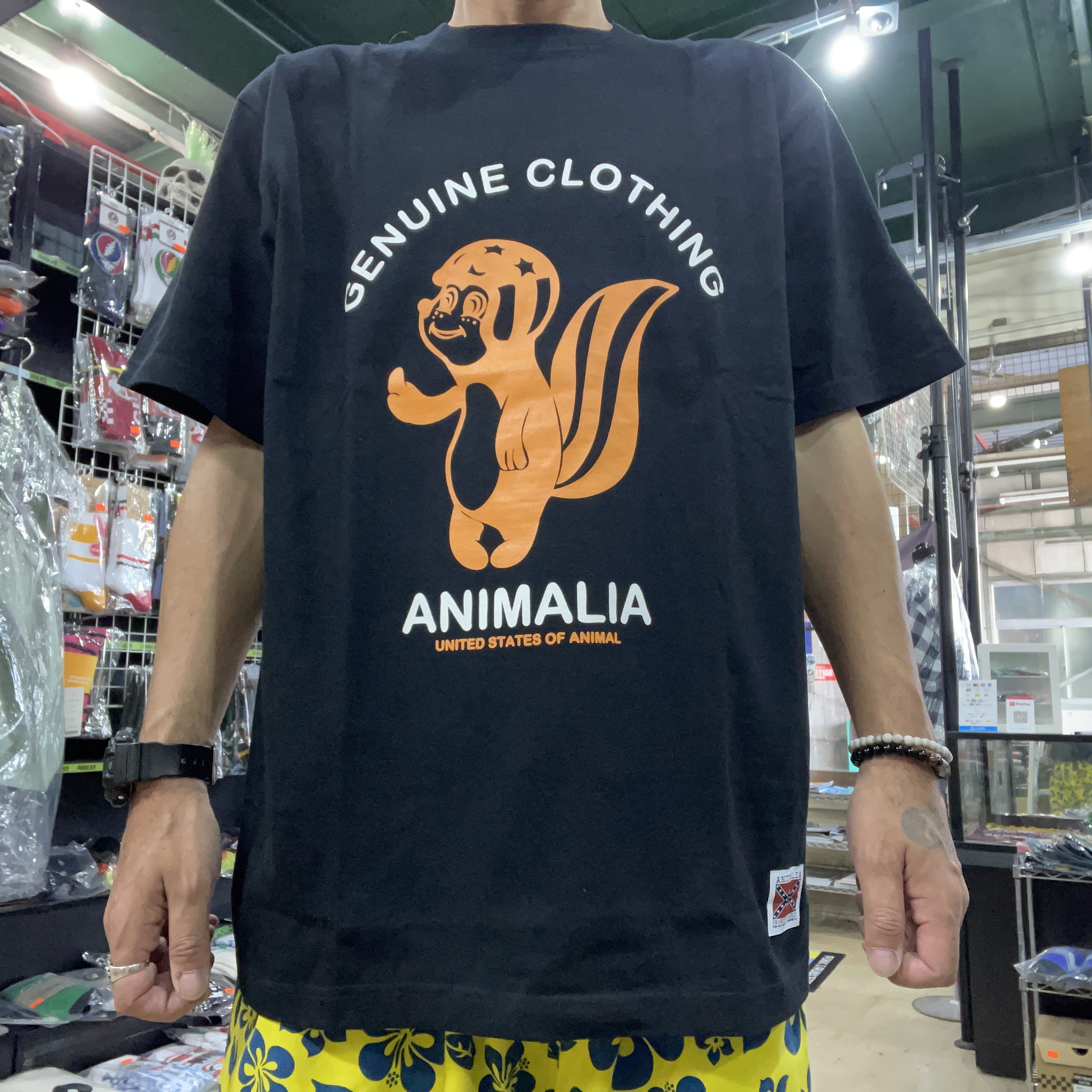 ANIMALIAより新作夏物が入荷しました。