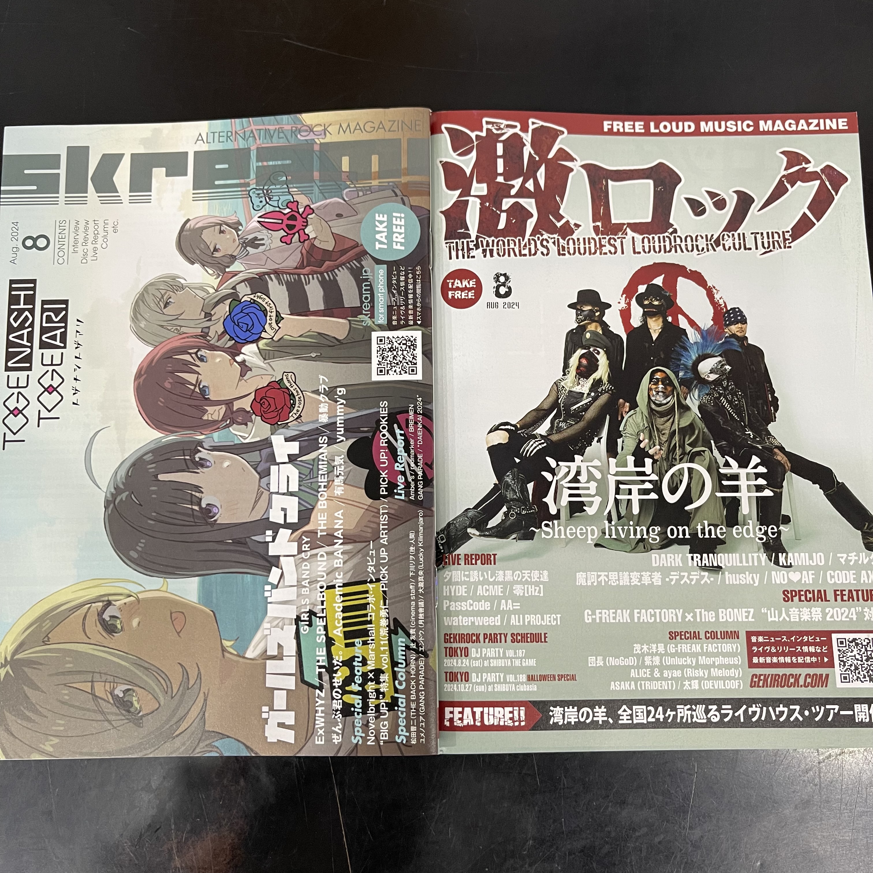 激ロックフリーマガジン8月号が届きました！