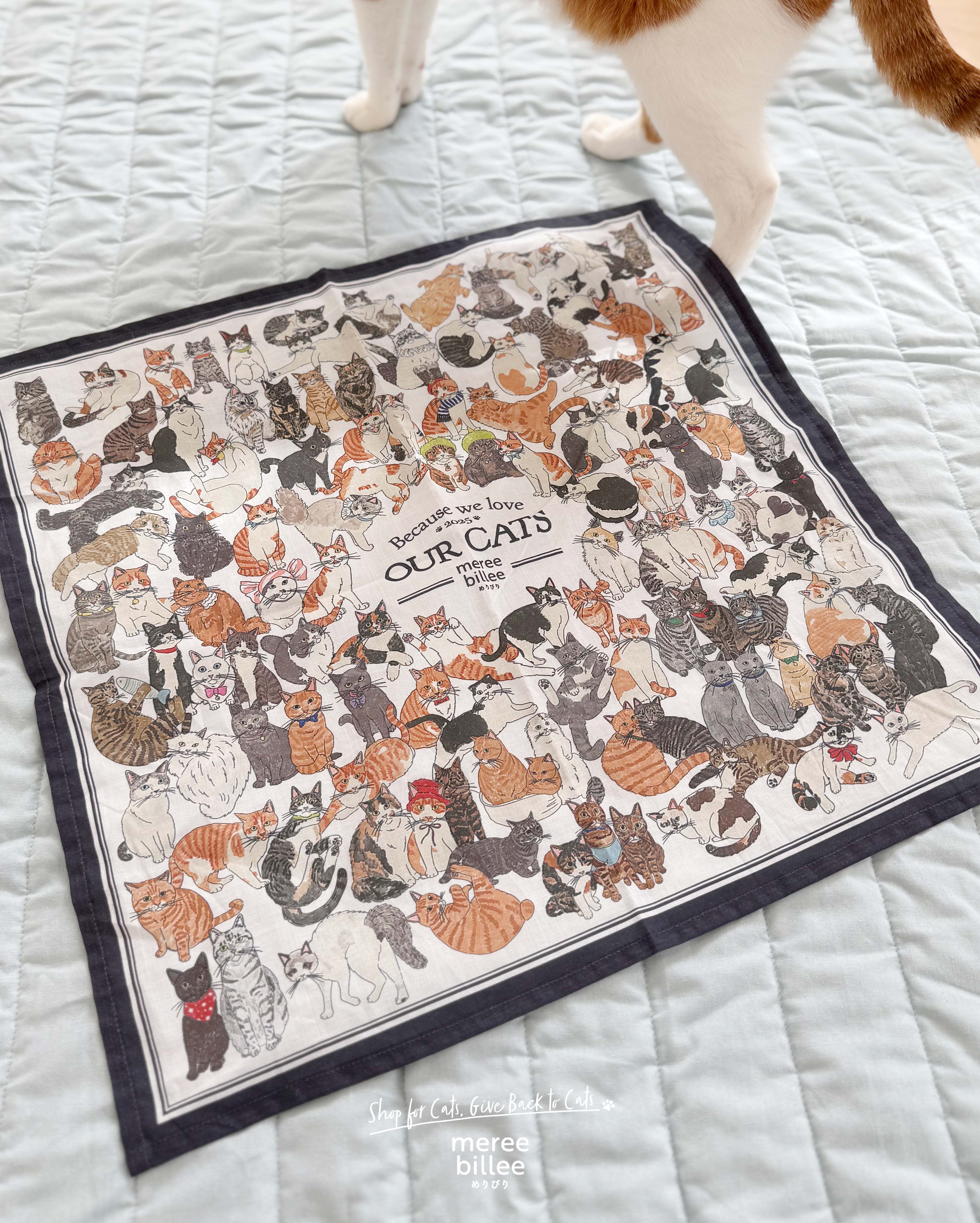 猫柄第2弾、予約スタート!