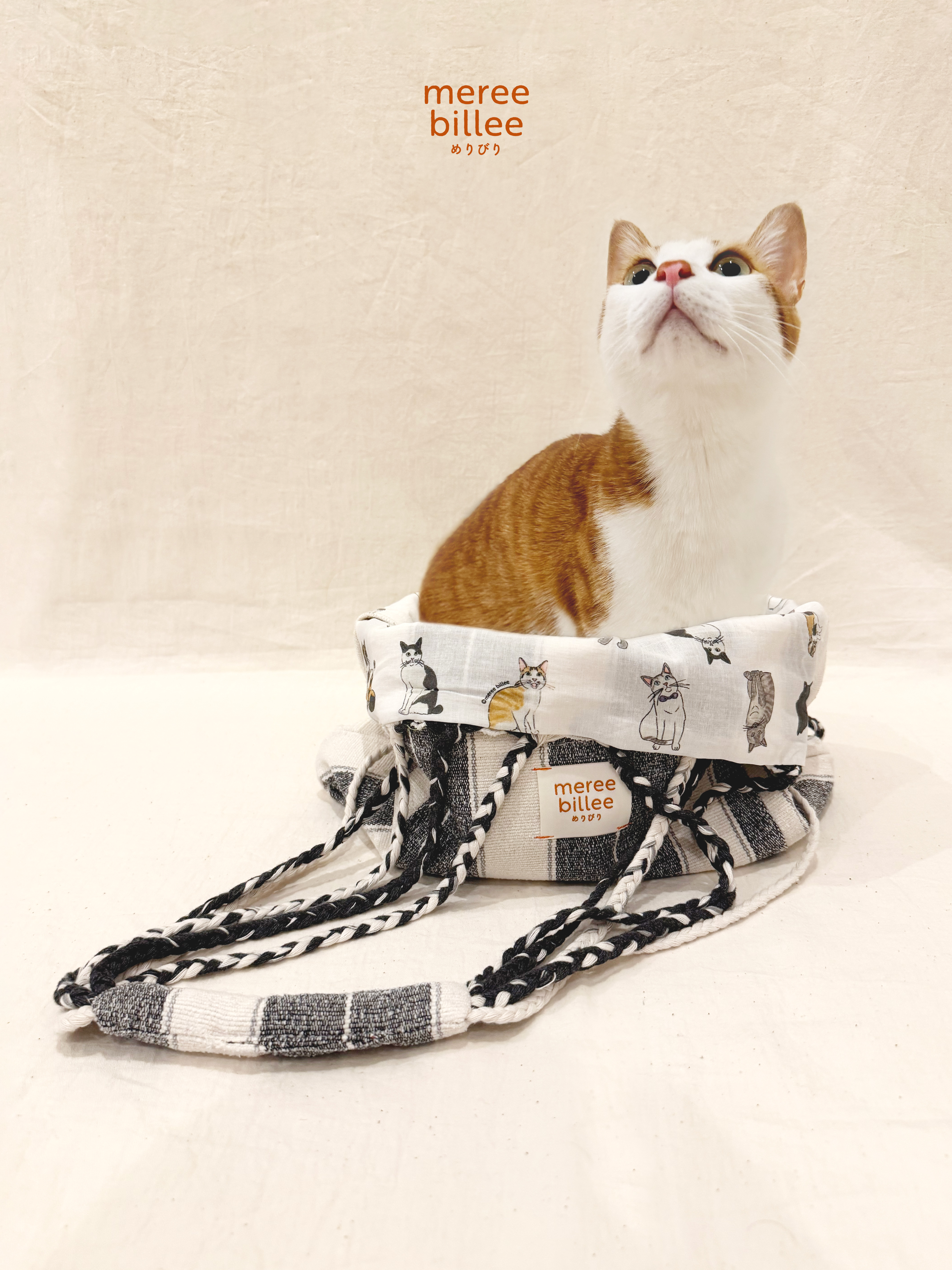 猫色ﾊﾝﾓｯｸﾄｰﾄ予約開始！