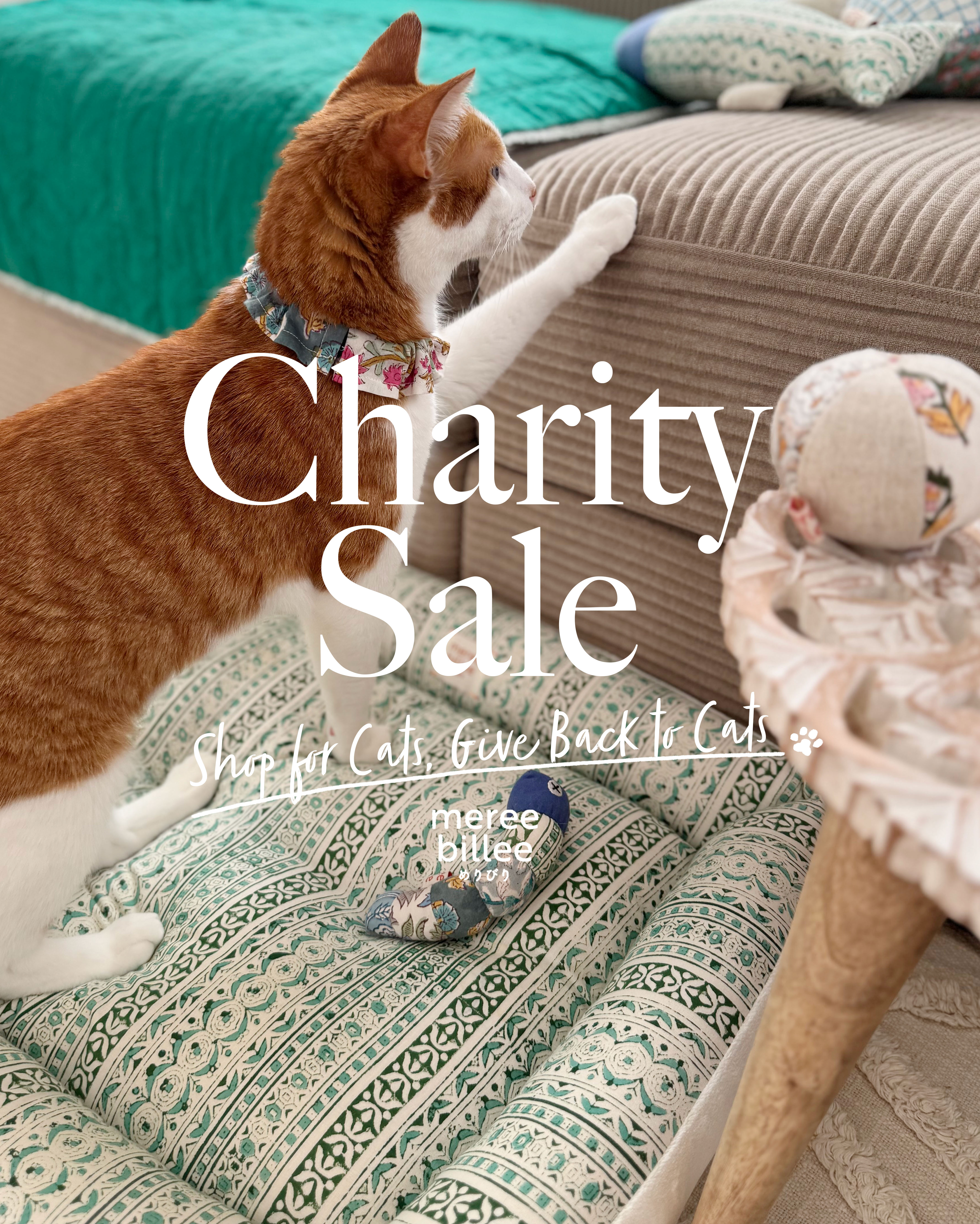 チャリティセール終了のご報告