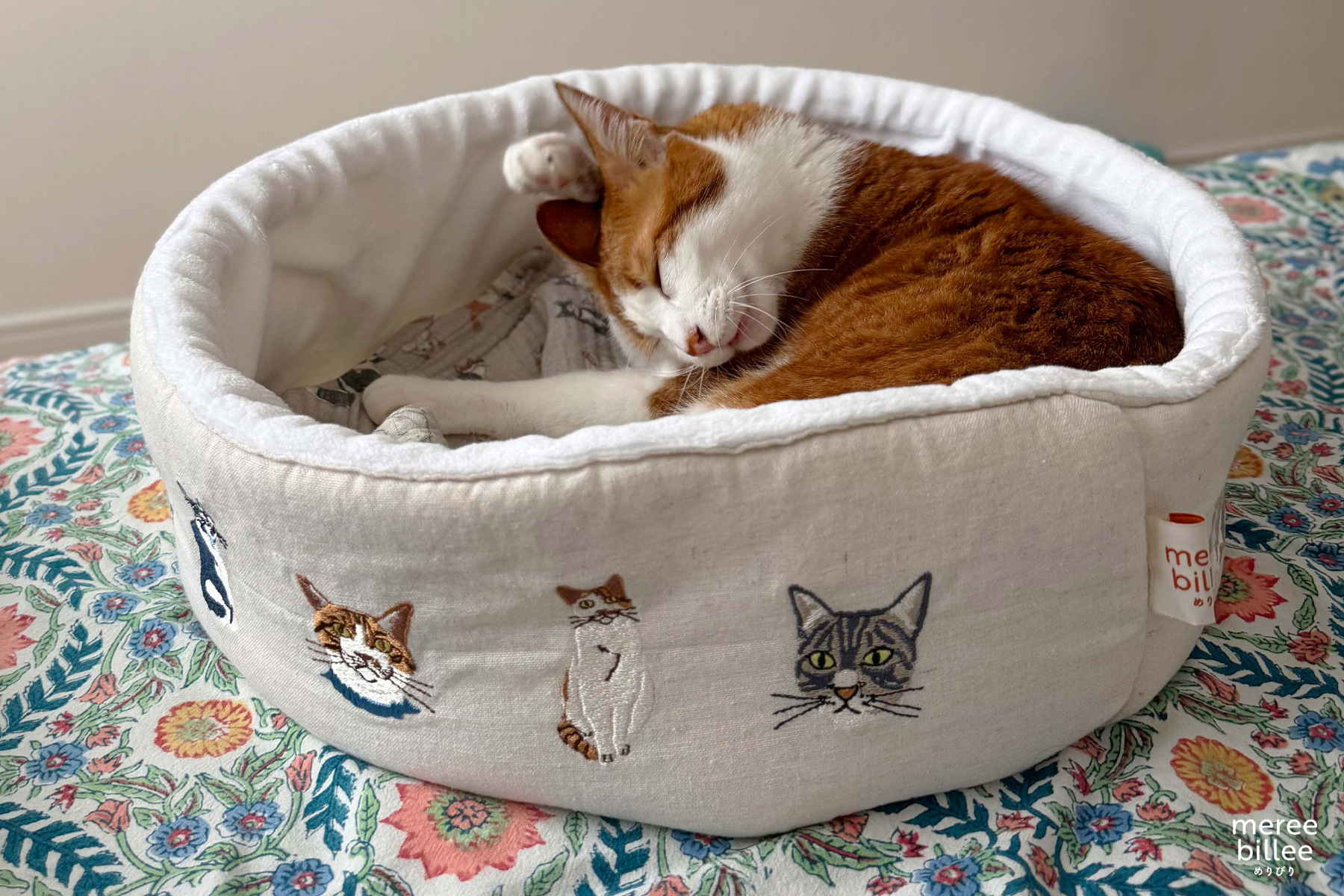 猫ベッドの選び方|丸型・洗える・おしゃれな猫ベッドを選ぶポイント