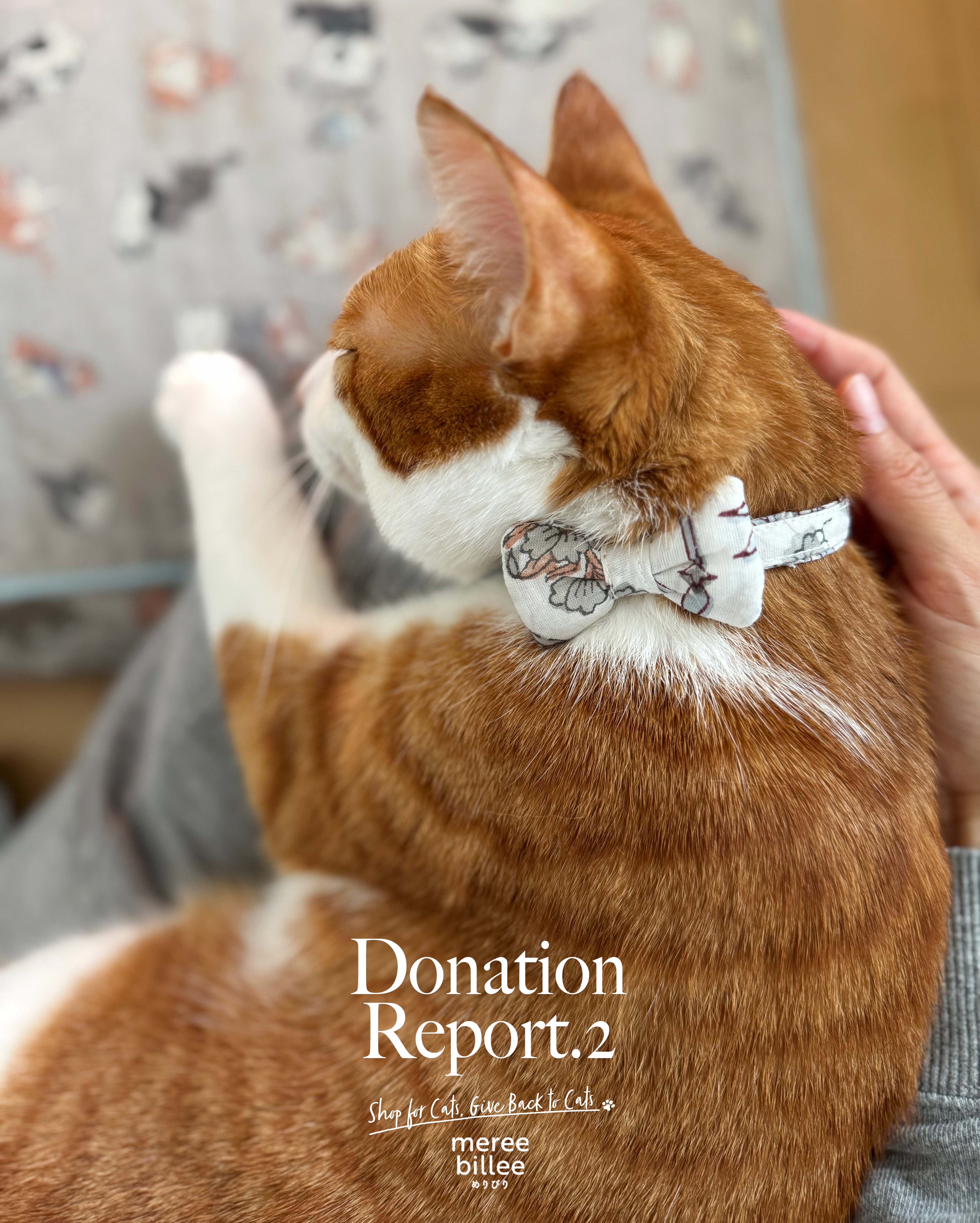 寄付のお知らせ