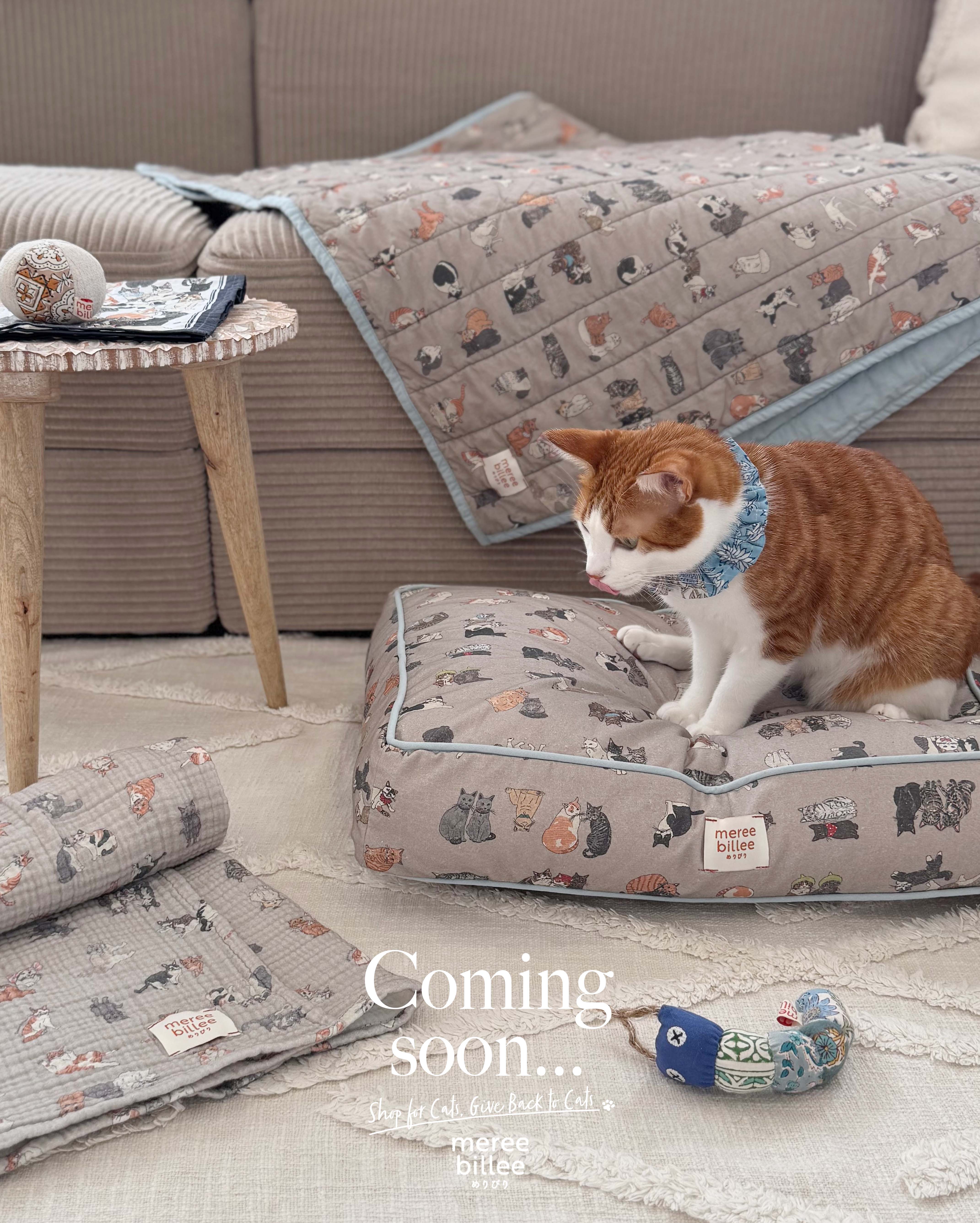 猫柄アイテムComing Soon!