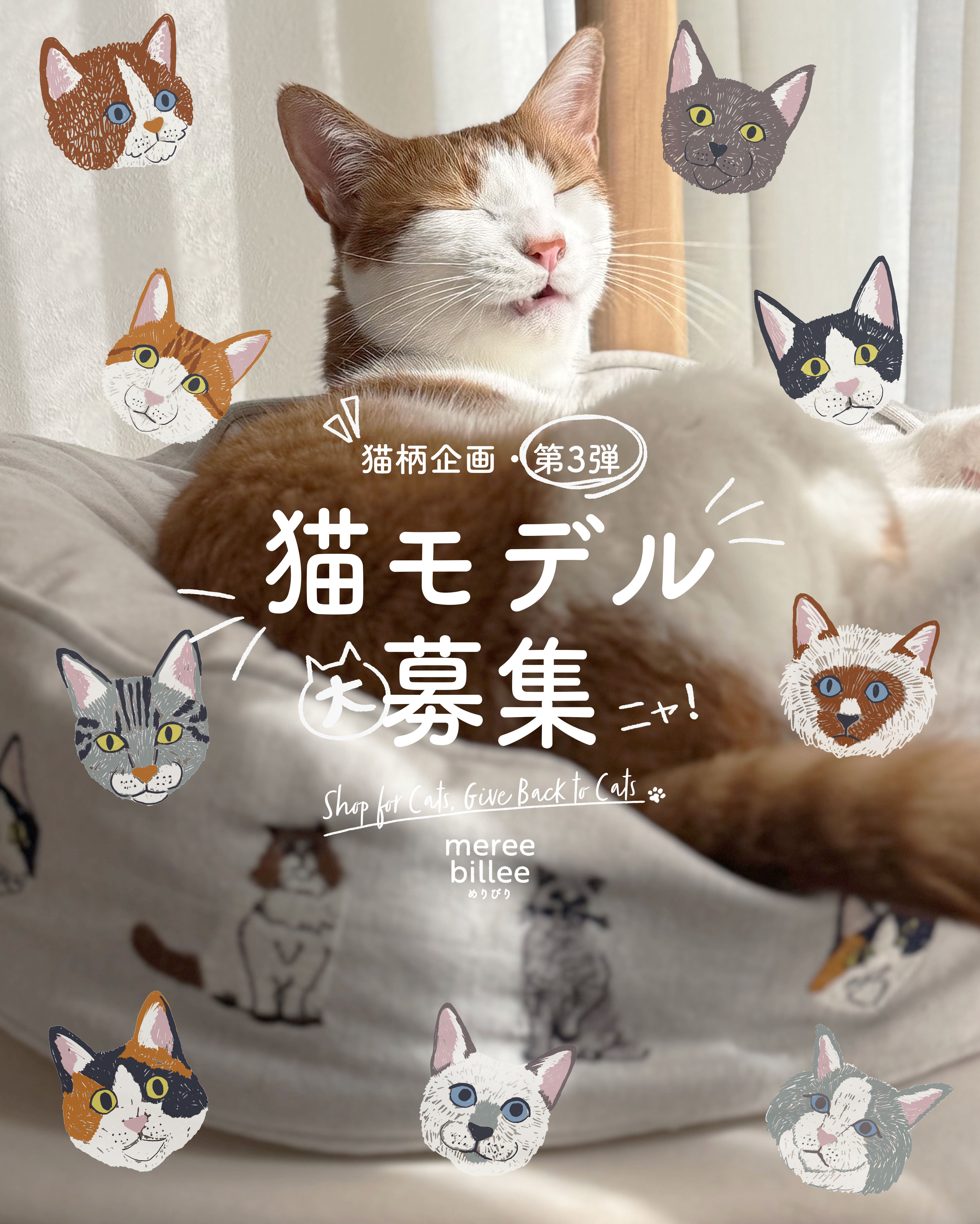 【猫モデル募集・猫柄第3弾】