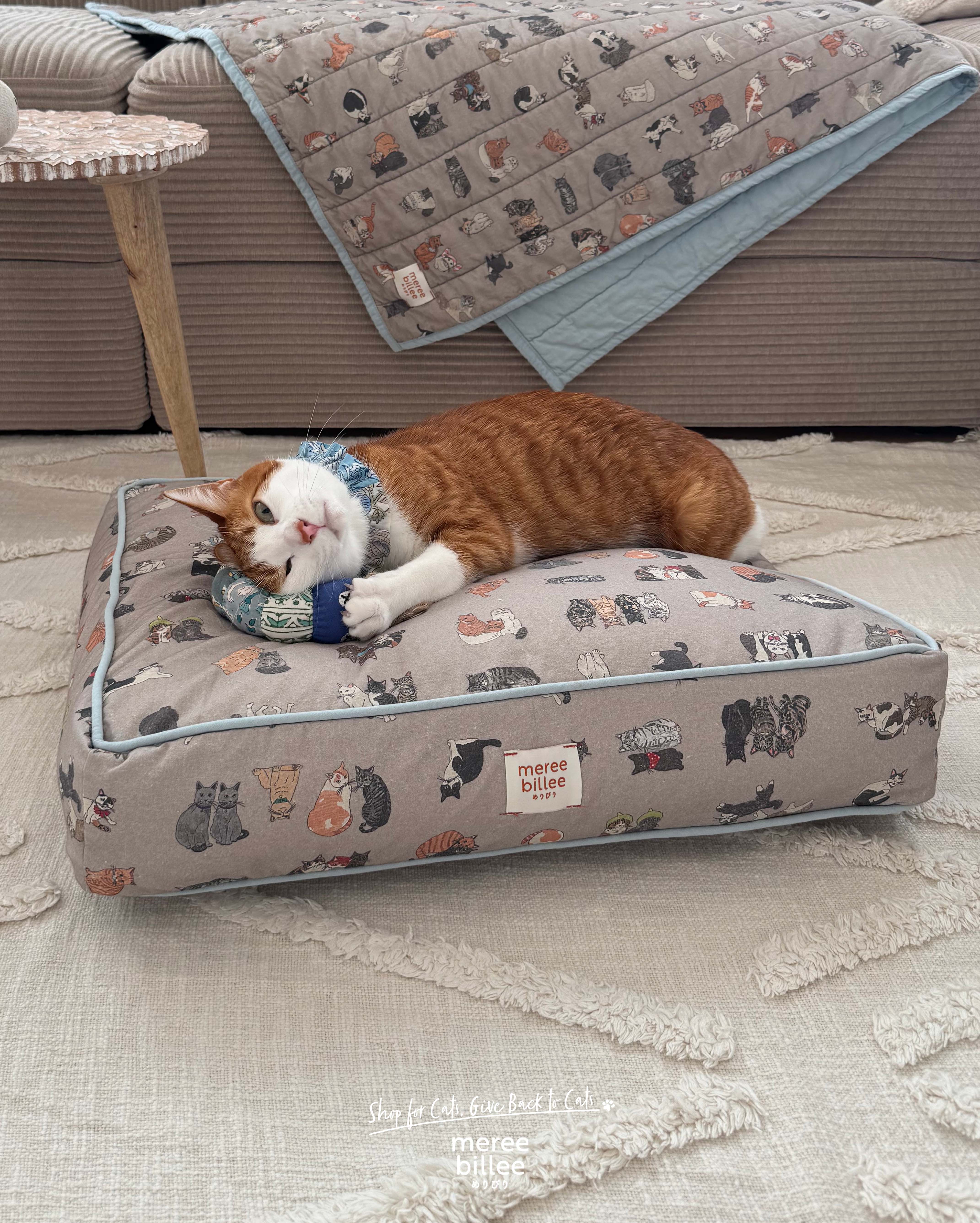 【猫柄第2弾・受注期間についてのお知らせ】