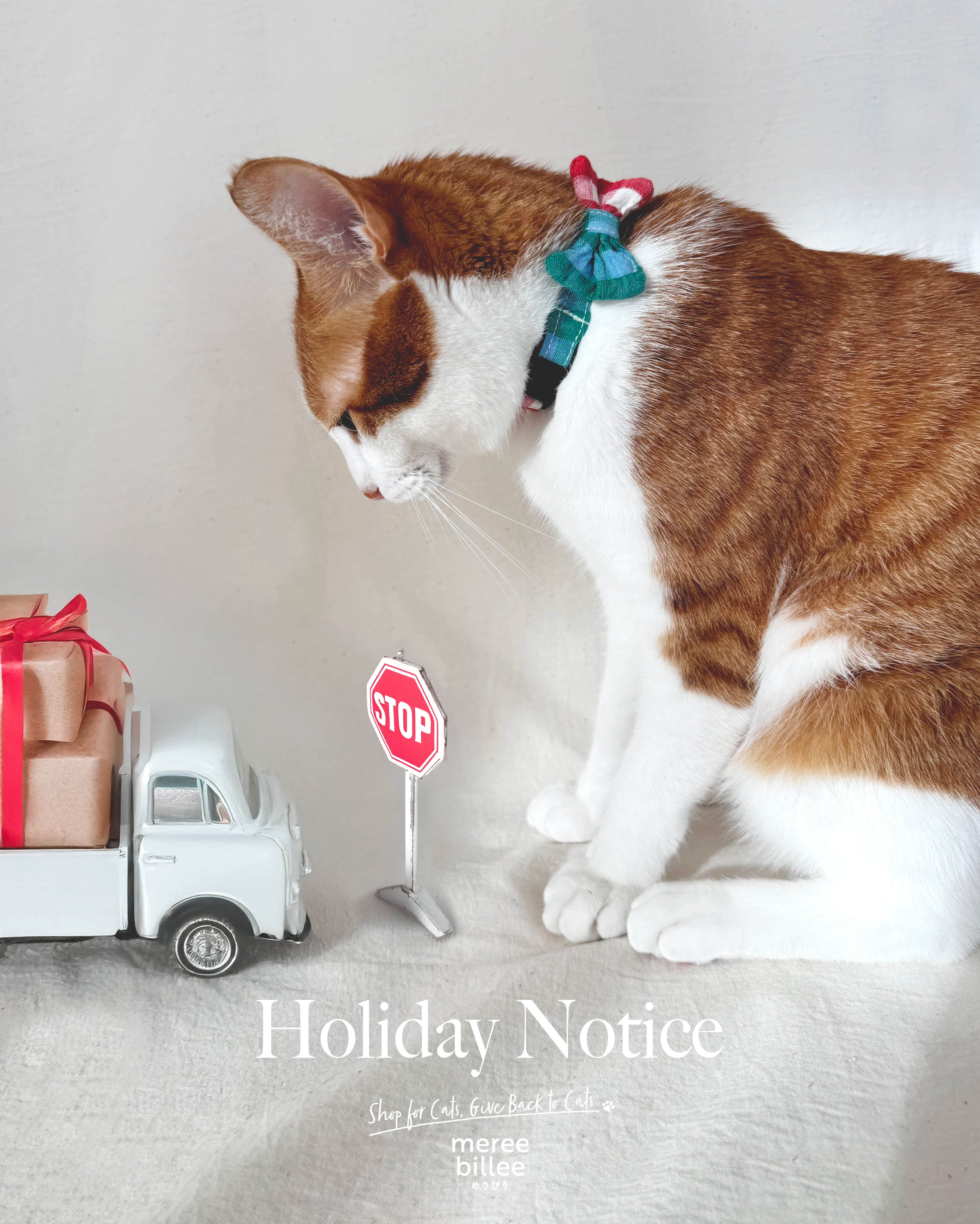 【12/26〜 1/4は発送業務お休みです】