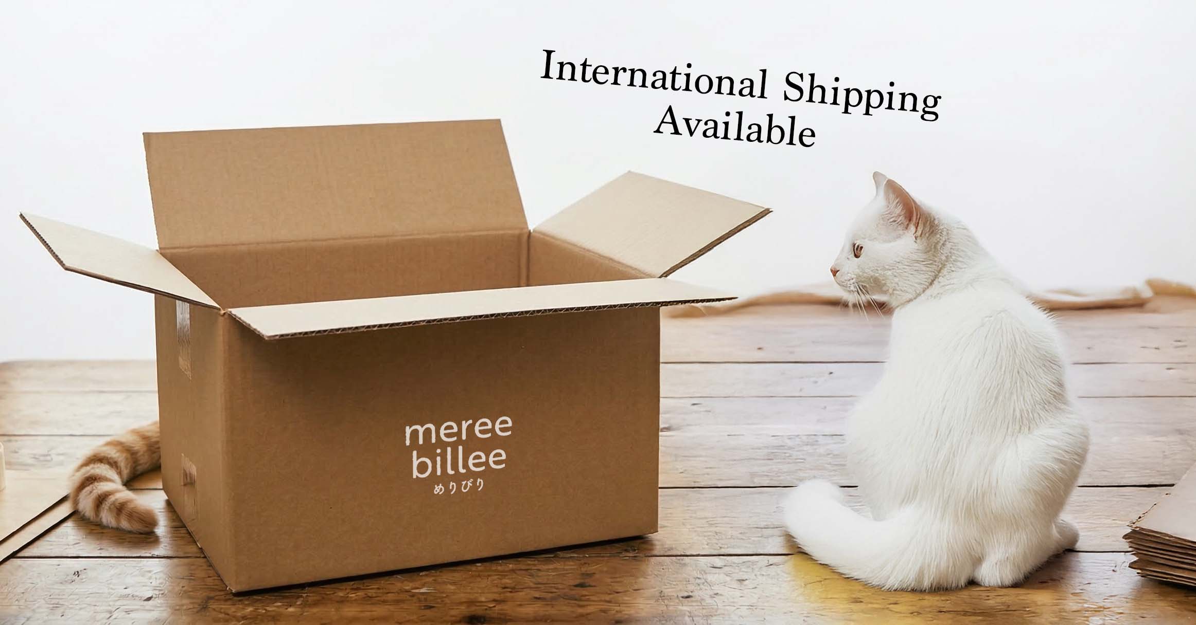海外発送が始まります|International Shipping Available