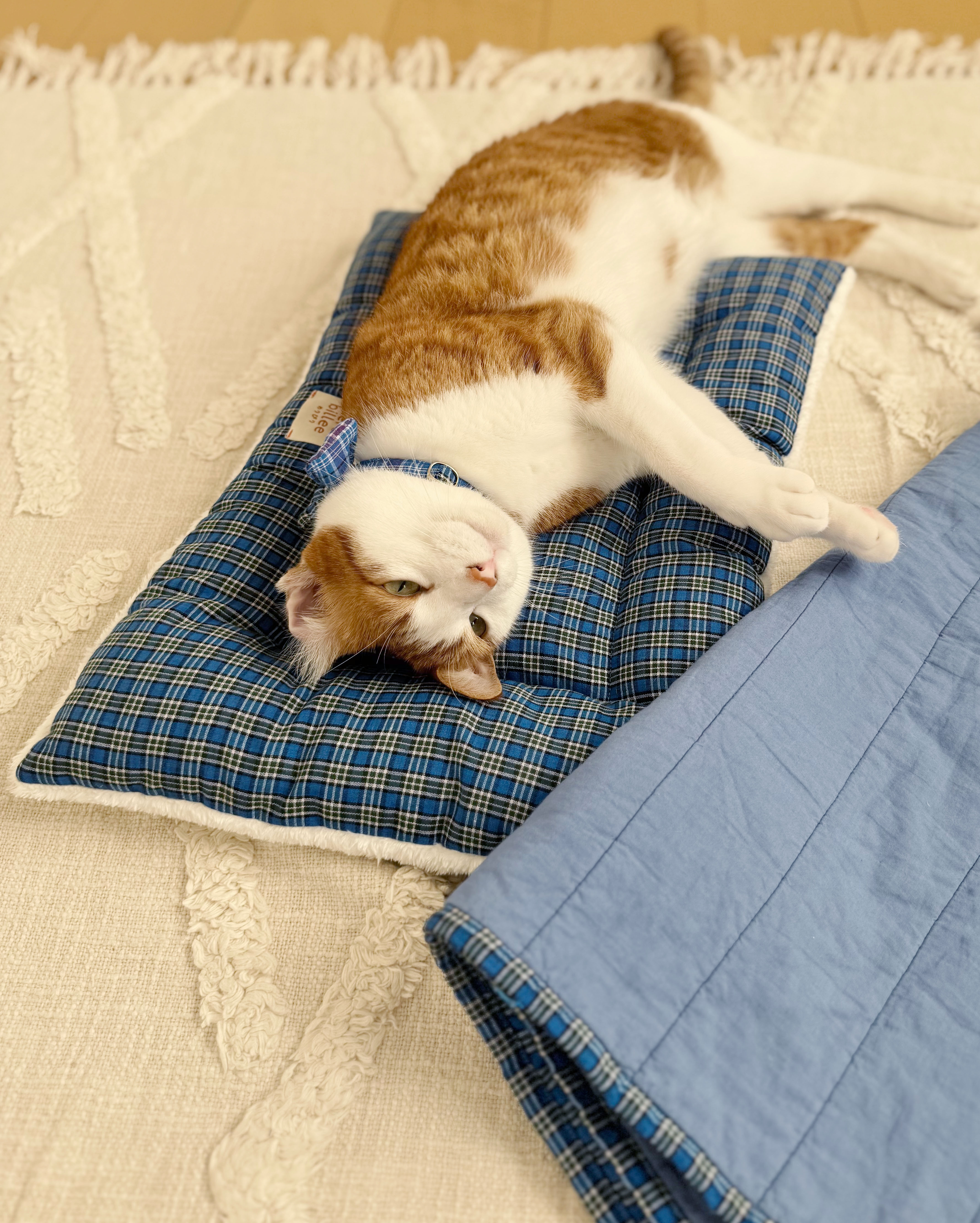 おすすめセール商品「ペットマット」