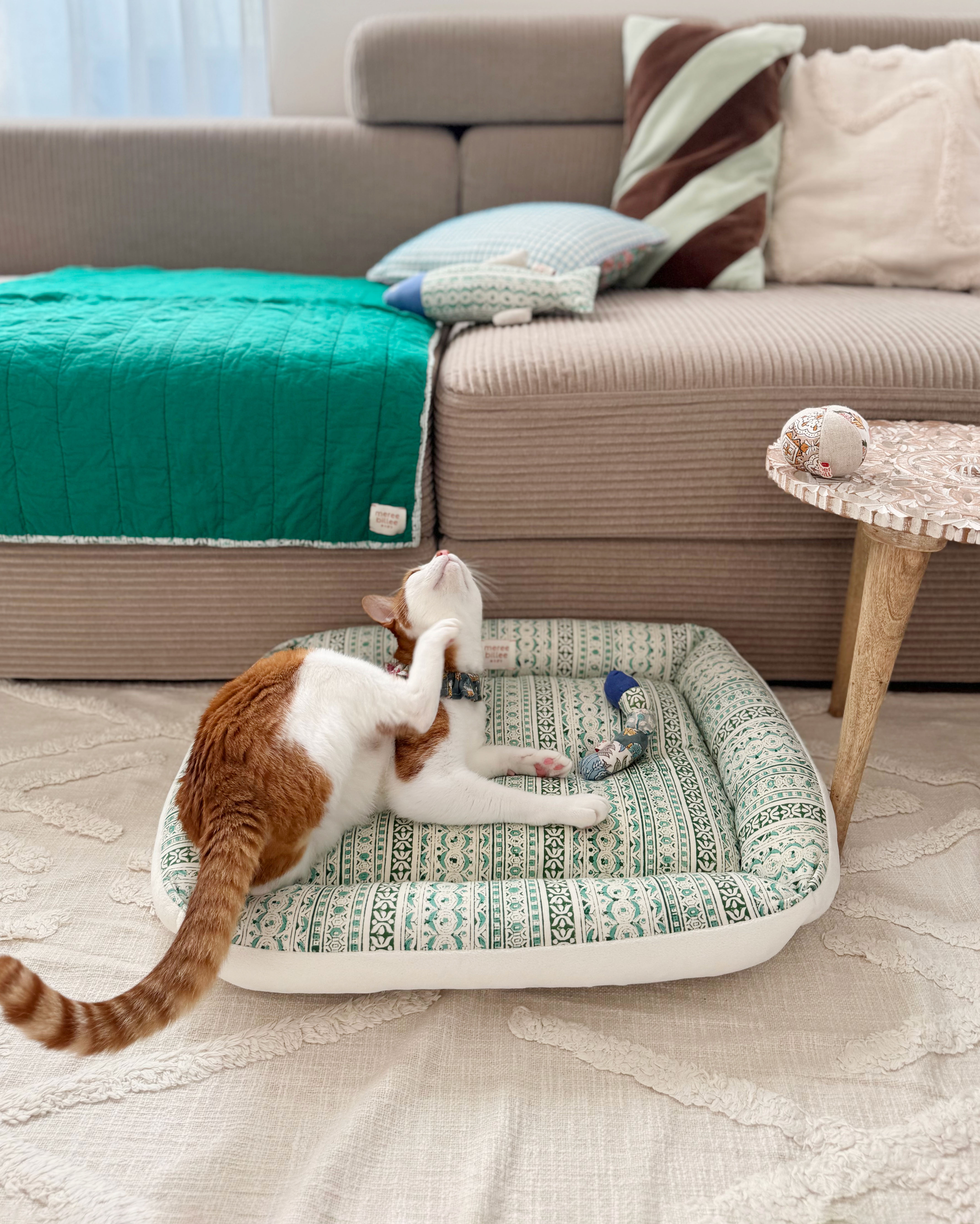 残り１点となりました！