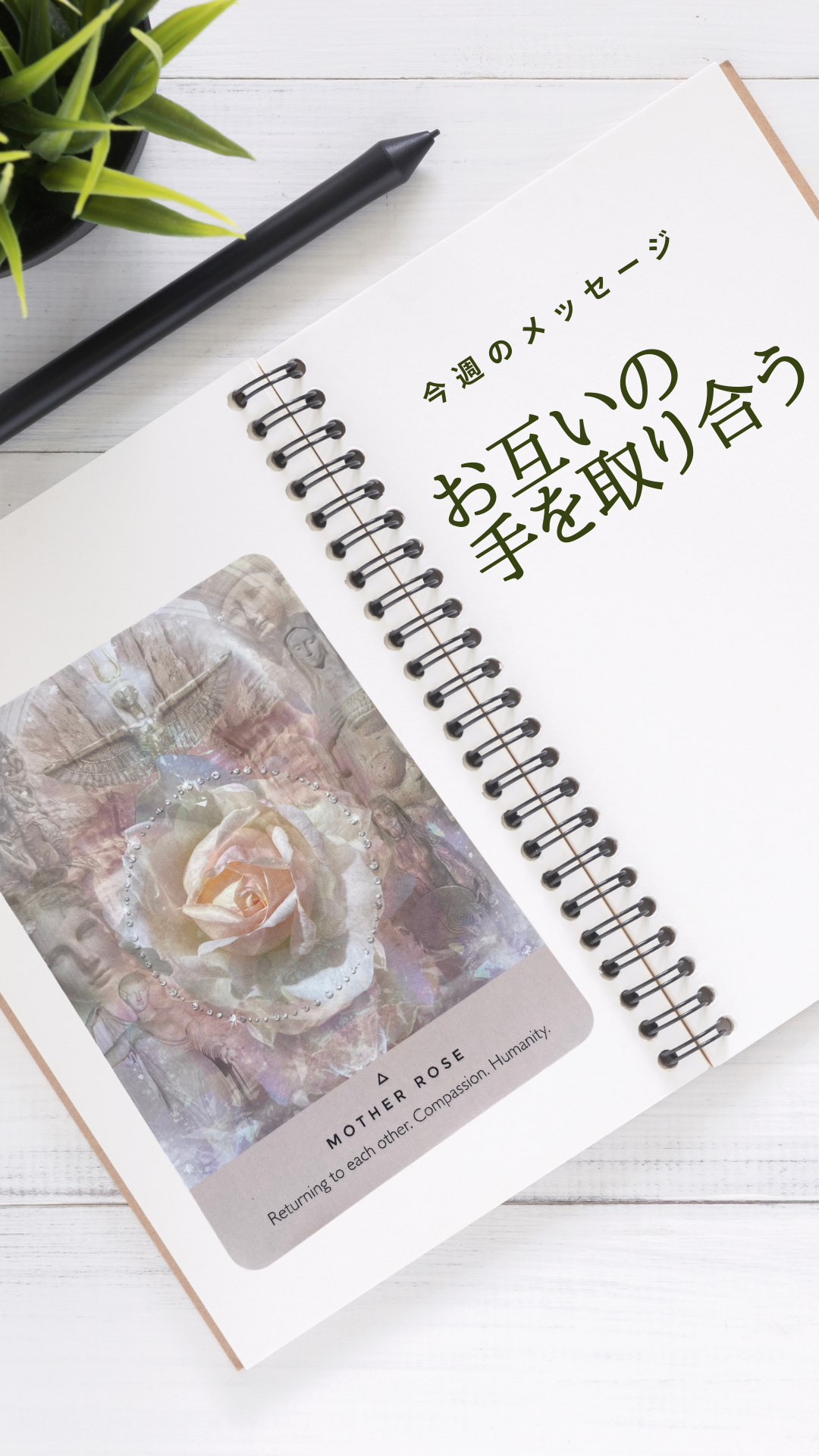 今週のメッセージ 「 お互いの手を取り合う」