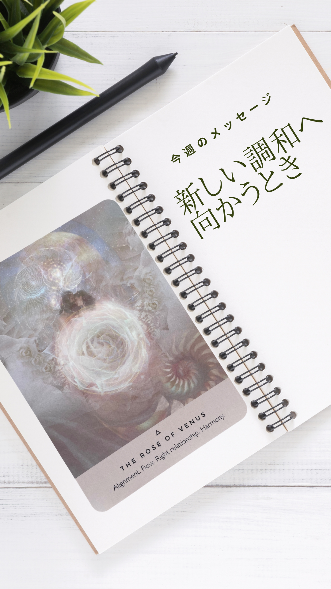 今週のメッセージ 「新しい調和に向かうとき」