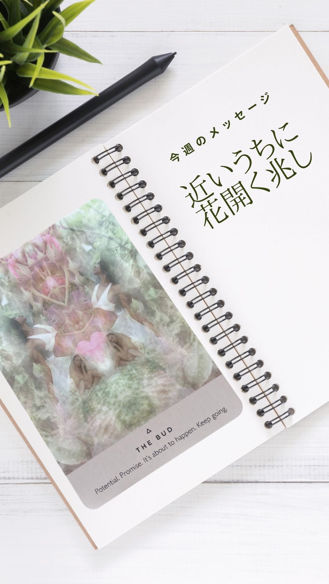 今週のメッセージ「近いうちに花開く兆し」