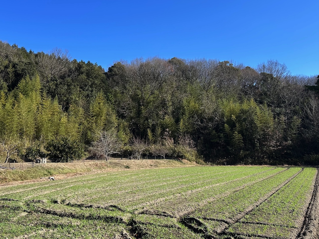 Happy new year 2026!