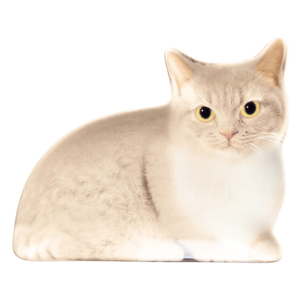 【新入荷】 ねこモチーフのお皿　-マンチカンねこ-