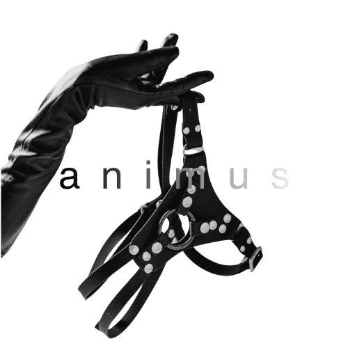 8ヶ月振りのブログ。