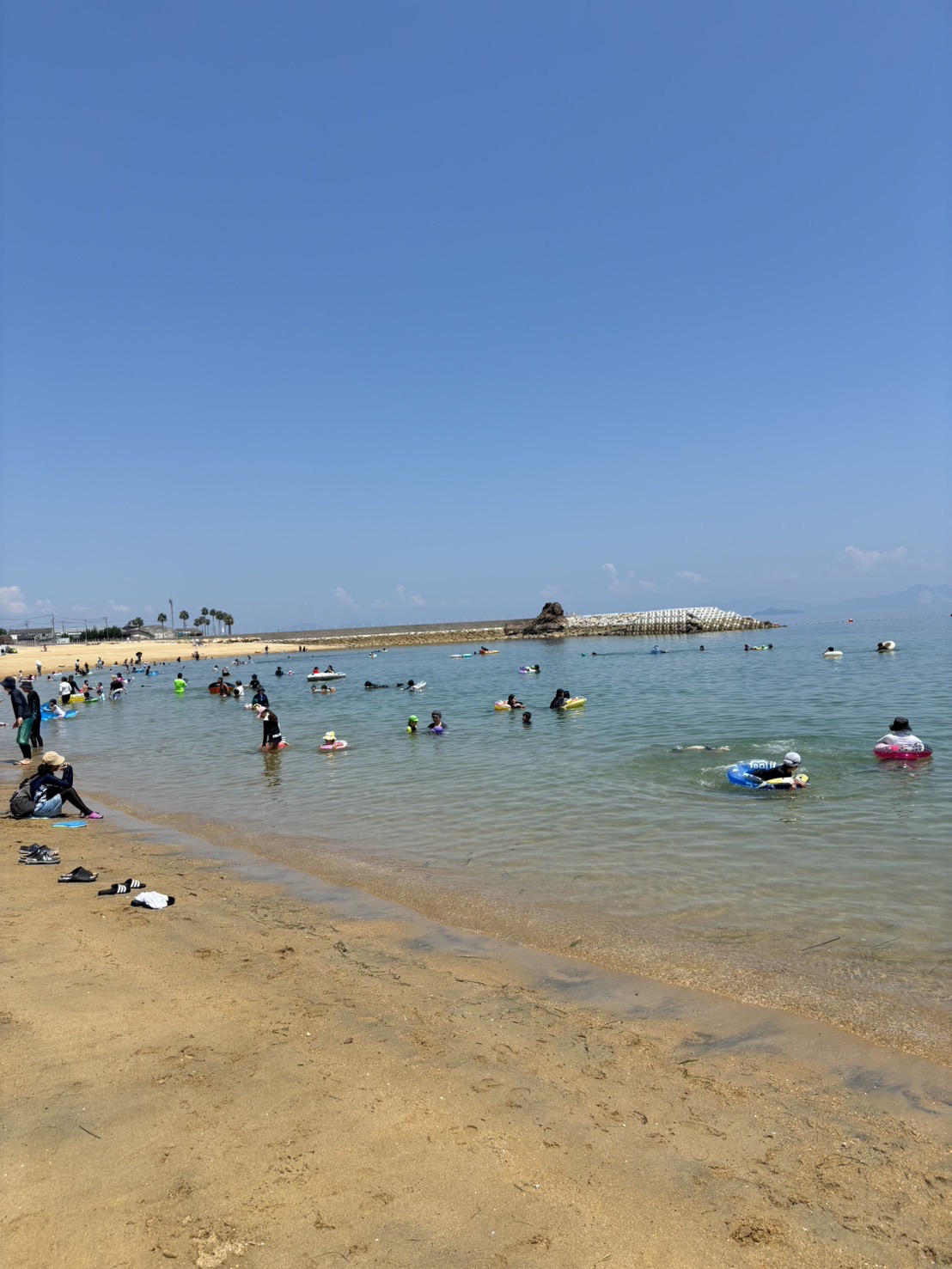 夏といえば海？