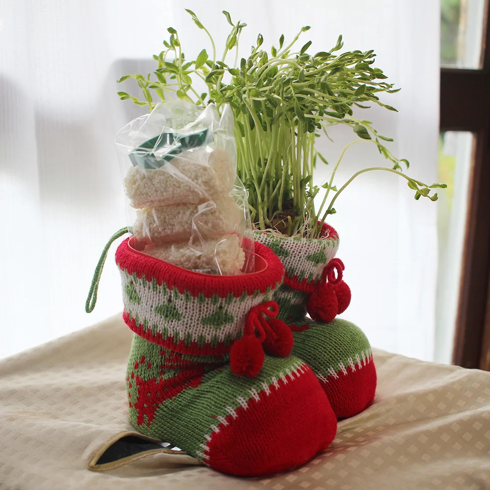 【受付中】クリスマスイブまでのお届けにつきまして