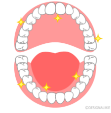 ― チュアブルとペーストの違い、そしてその先の話 ―