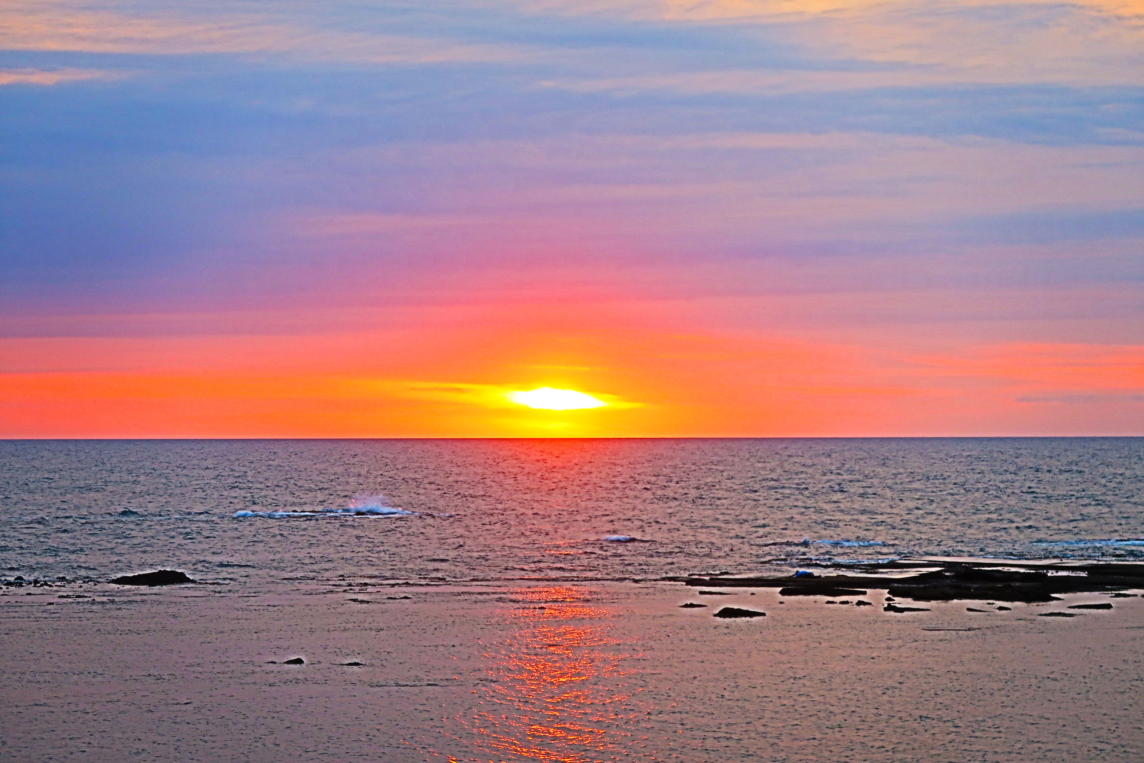 BIOCYCLEカウンセリング受付再開のお知らせ