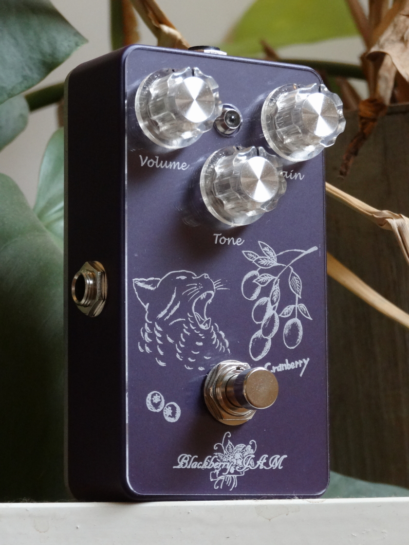 Cranberry Violet ドライブサウンド