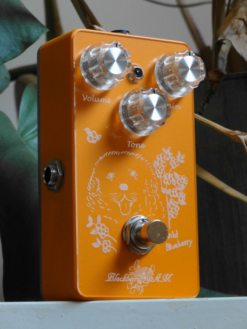 Wild Blueberry Marigold クランチサウンド