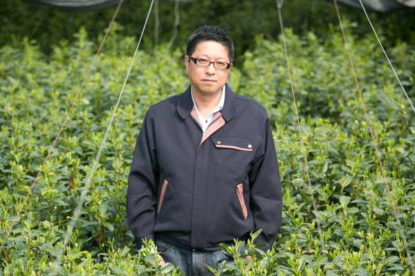 碧園 お茶の純平　山内 祥正