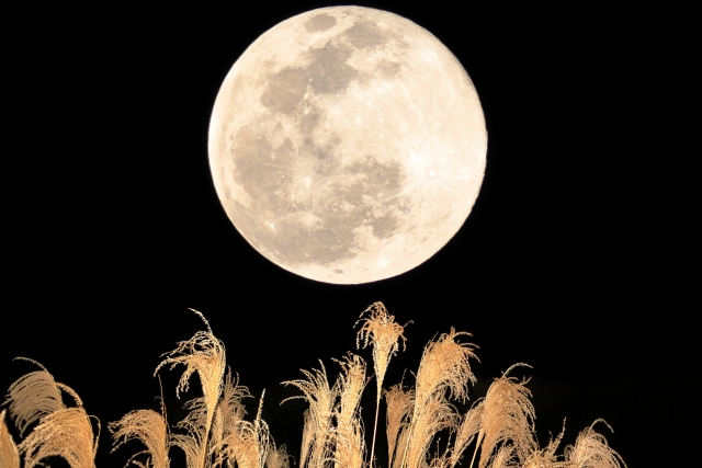 満月ブレンド誕生秘話