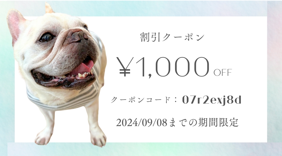 1000円クーポン配布中！！
