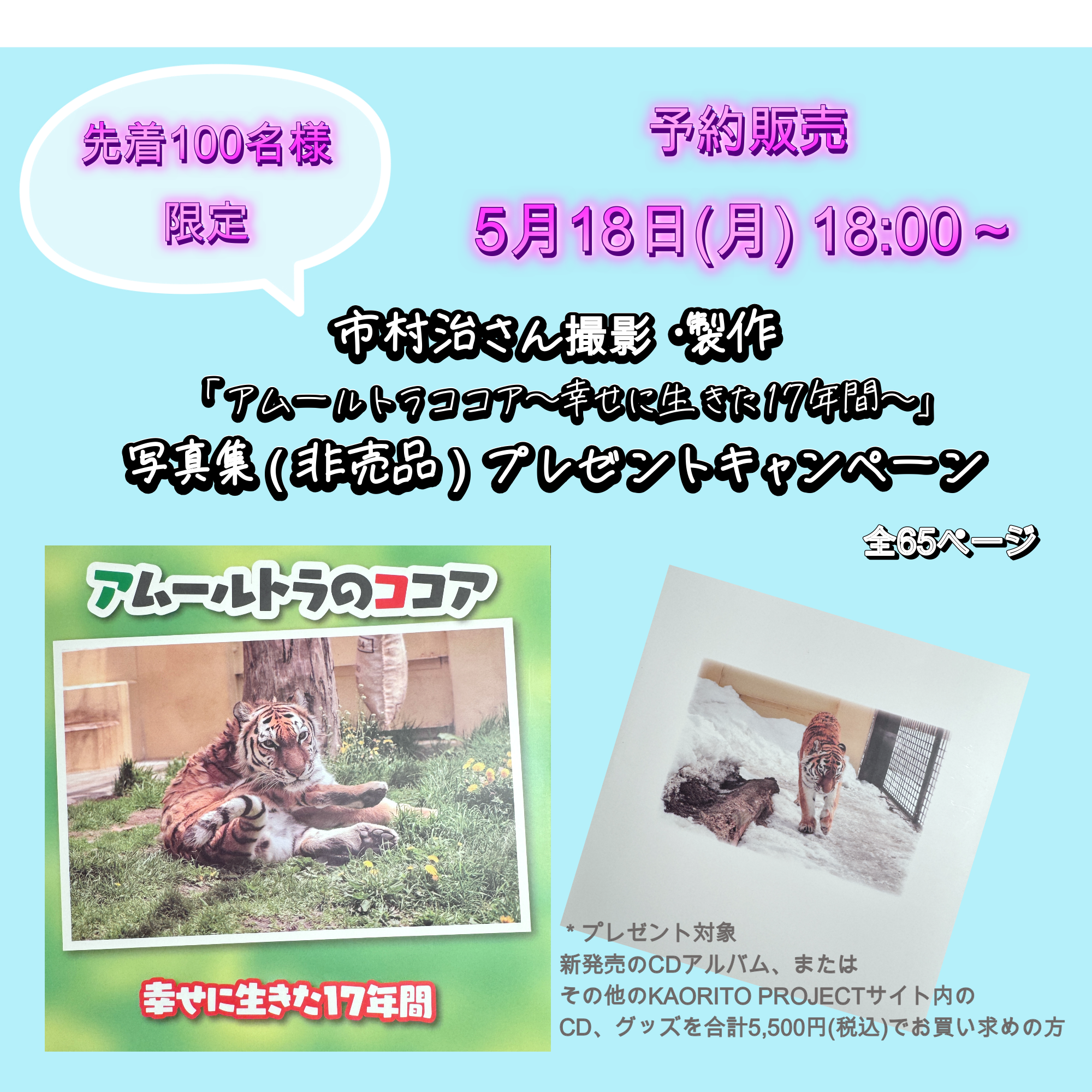 🎁プレゼント企画・第１弾🎁先着100名様限定【特別企画】「アムールトラココア写真集」プレゼント！