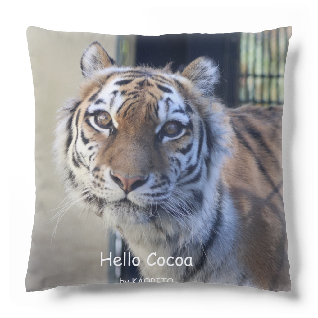 2025年12月31日をもって一部のオリジナルグッズ販売を終了いたします。