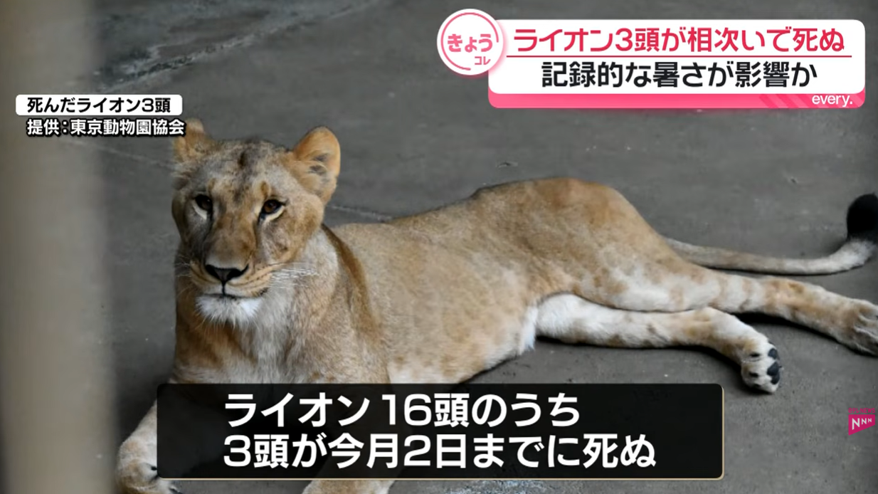 【回答データの公開※9月末時点】全国の動物園における酷暑対策現状・今後の予定/方針に関するアンケート