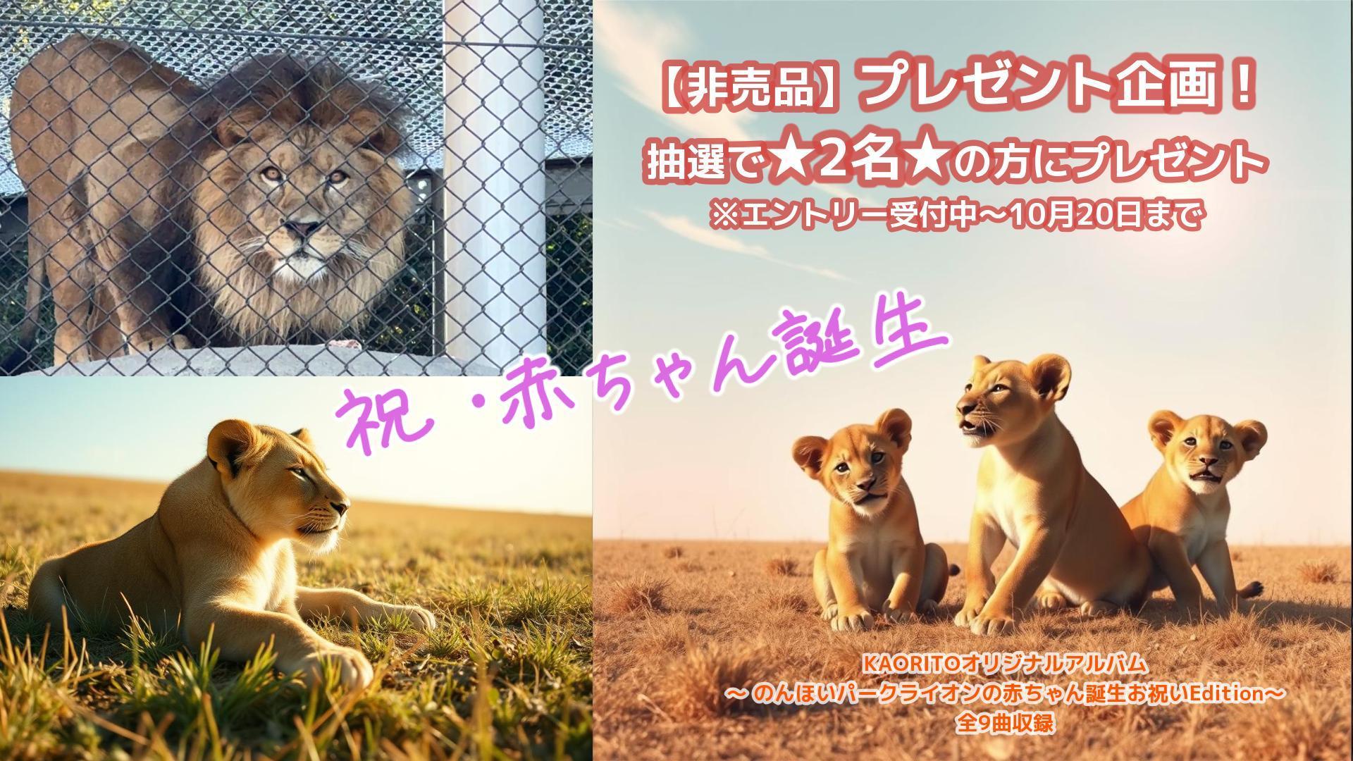 【抽選で2名の方にプレゼント！】 非売品「祝！のんほいパーク赤ちゃんライオン誕生記念Edition」