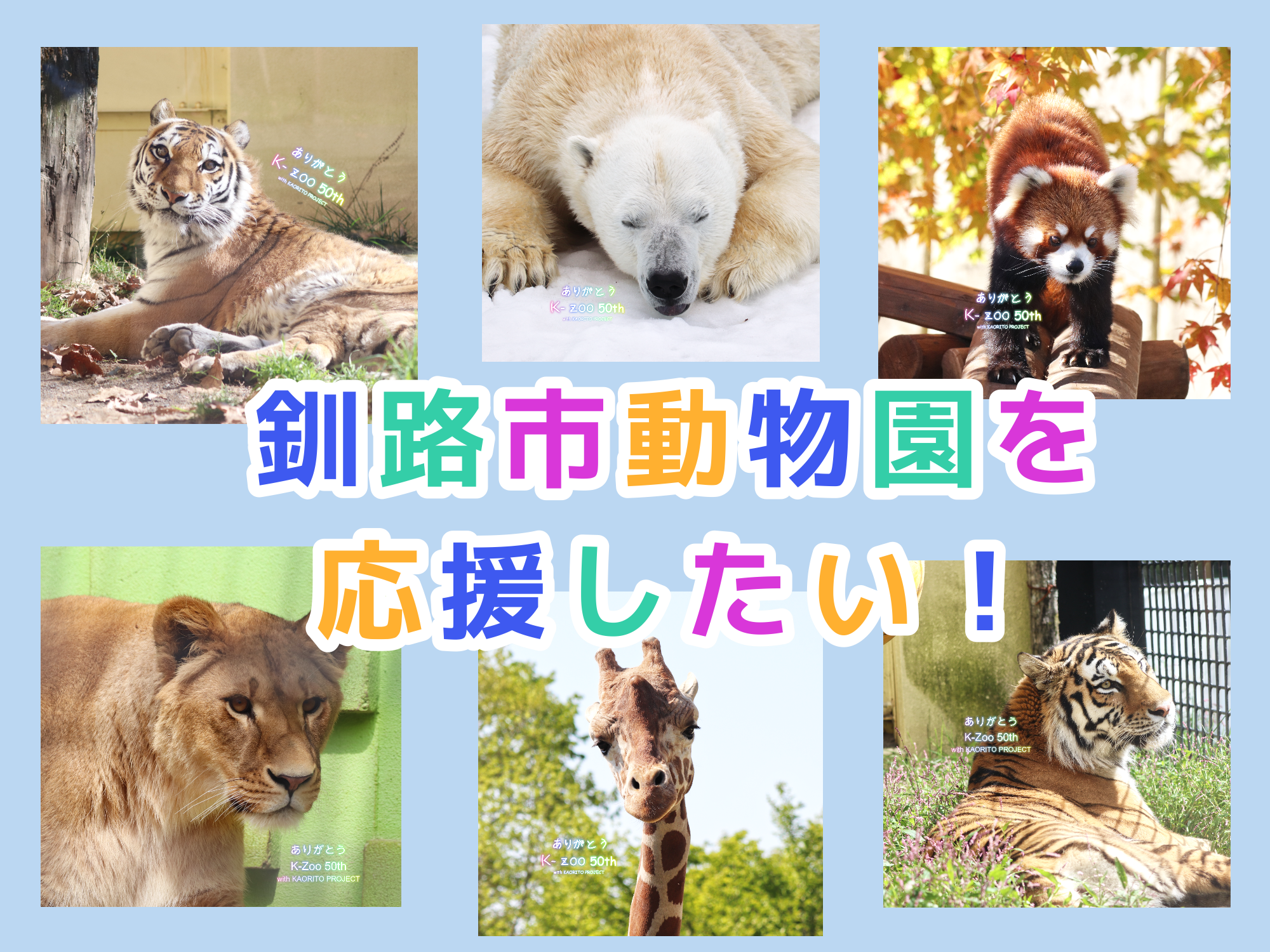 「50thおめでとう！釧路市動物園を応援したい！」企画はじまります！