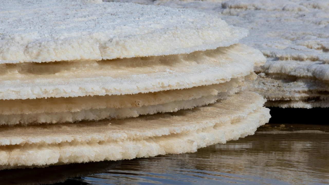 BARAKAが導く究極の「整い」。死海ミネラルと生体電流の密かな関係とは?
