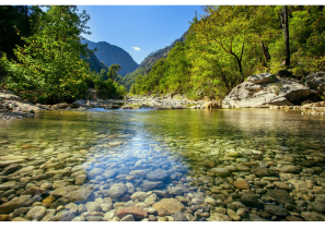 💧✨ 味噌作りに欠かせない「水」の秘密〜美味しさを支える隠れた主役〜