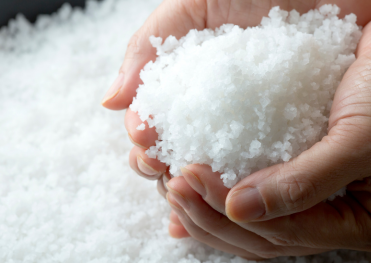 🍃 味噌づくりの隠れた主役「塩」の秘密を大公開！ ✨