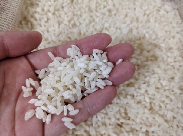 全国各地の味噌と麹、魅力を徹底解説！