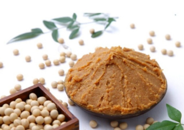 「味噌の旅路」—発酵が紡ぐ日本の食文化と地域の記憶