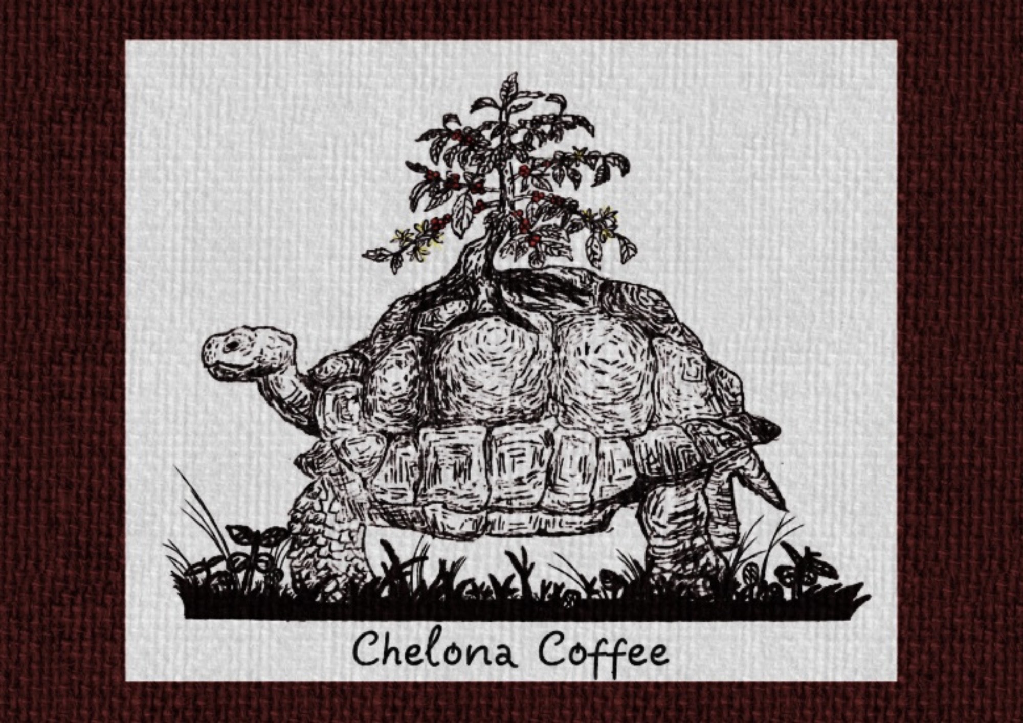 Chelona Coffee (チェローナコーヒー):ブログ開始します!